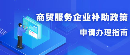 北仑商贸服务企业补助政策申请办理指南